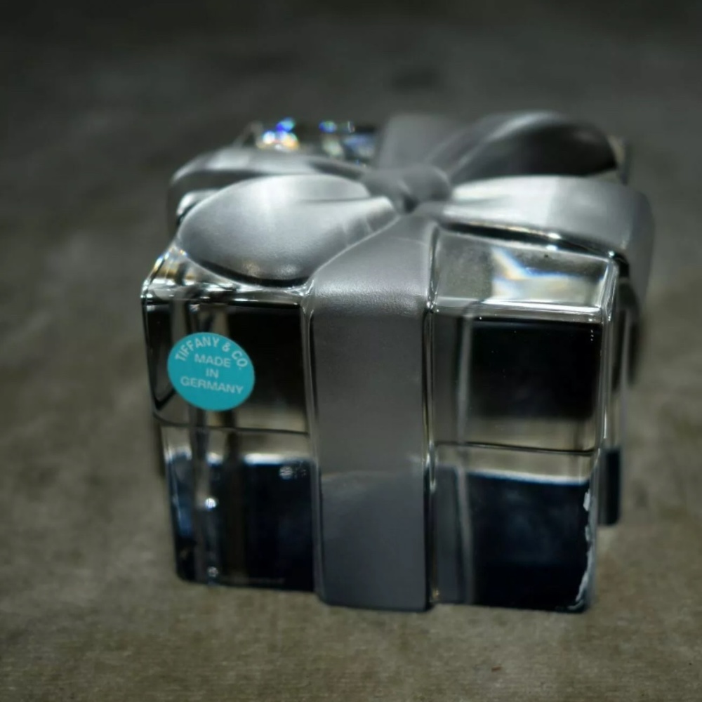 NEW TIFFANY & CO FROSTED BOW CRYSTAL GLASS GIFT BO